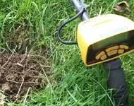 ring ground.webp