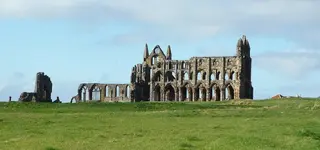 whitby 035.webp