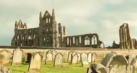 whitby 043.webp