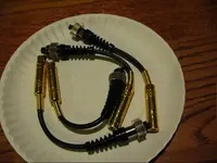 p1110819.webp