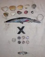 Finds Treasure Coast, Florida 022.webp