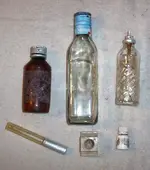Finds Treasure Coast, Florida 025.webp