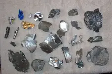 Finds Treasure Coast, Florida 027.webp