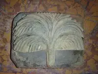 palm.webp
