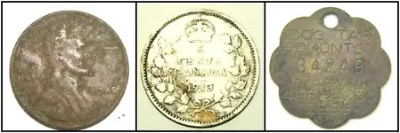 po coins.webp