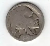 Buffalo nick a date.webp