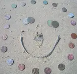 Smiley face crop.webp
