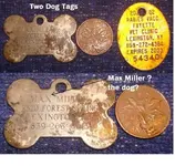 dog tags comp.webp dog tags comp.webp
