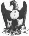 bird.webp
