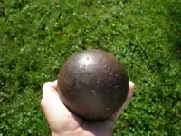P9271487_resize.webp