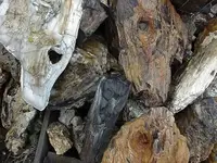 knotty wood.webp