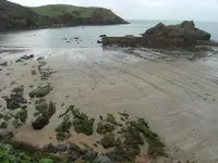 hope cove1.webp