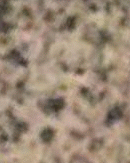 Clipboard01.gif