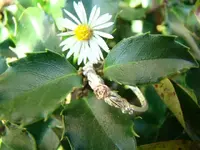DSC04405.webp