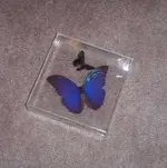 BlueMorphos1.webp