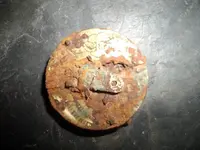 what are they relics 032.webp
