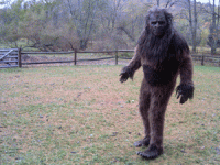 bigfoot%20300.gif