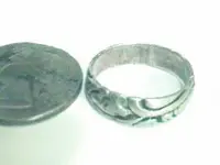silver ring.webp