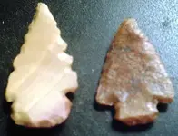 arrow heads rev..webp