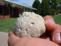 zkzklj.webp
