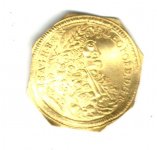 Gouden munt schoon.jpg