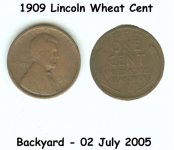 1909 wheat cent.jpg