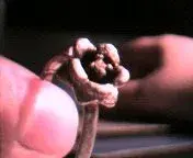 ring3.webp