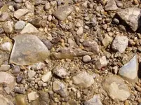 P4050054.webp