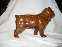 redwing bulldog.webp