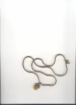 gold chain&charm.webp
