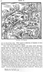 Page3.webp