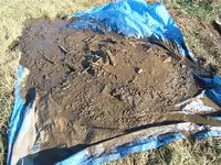 DSCF0028.webp