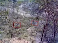 Quarry2 (422 x 317).webp
