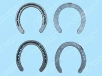 STEEL%20HORSESHOE%20A6,A4.webp
