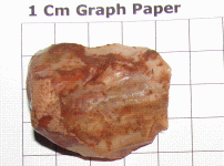 NG9.GIF