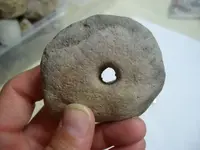 Artifact3.webp