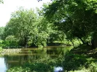 Picture 004.webp