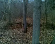 cellar hole of nails.webp
