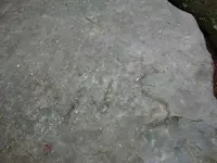 08-29-09 021.webp