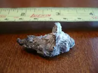 Silver 021.webp