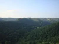 08-29-09 029.webp