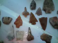 !cid__1129091603a.webp
