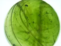 DSCF1249.webp
