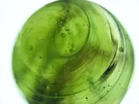 DSCF1250.webp