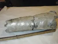 DSCF1281.webp