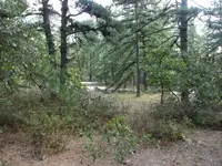Site230a.webp