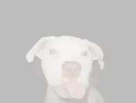 Untitled.webp