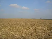 DSCN0195.webp