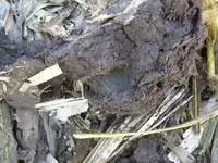DSCN0194.webp