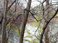fall water pic.webp